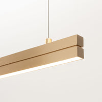 Dual Lateral Pendant