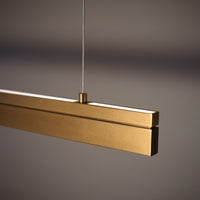 Coupled Dual Lateral Pendant