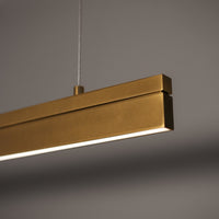 Coupled Dual Lateral Pendant